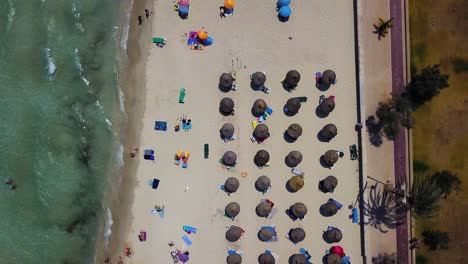 Overhead-drone-shot-of-the-coastline-of-Cala-Mayor,-showing-a-number-of-beachgoers-who-are-swimming,-snorkeling,-strolling,-and-sunbathing-at-the-beach