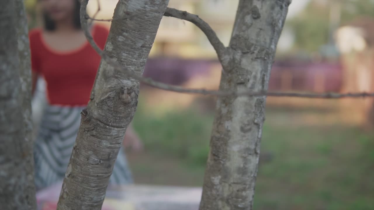 를 통해 볼 수 있는 느린 카메라 움직임