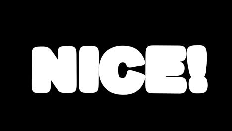 abstract 3d animation of appearance of word nice