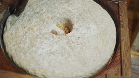 el panadero muele el grano en harina. molino de mano antiguo en funcionamiento con una auténtica piedra de molino de 200 años