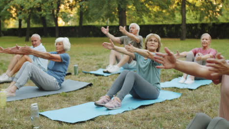 yoga teacher and senior people exercising in park