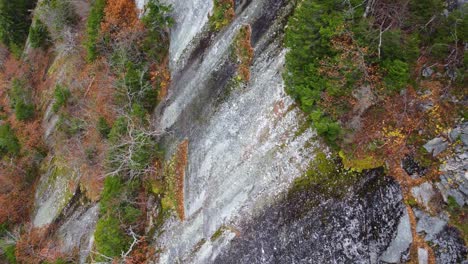 Acercándose-A-Una-Roca-De-Montaña-Cubierta-De-Follaje-Y-árboles-En-Descomposición-En-El-Monte-Washington,-Hampshire,-EE.UU.