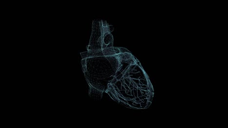 heart hologram wireframe. nice 3d animation on a black background with a seamless loop for futuristics projects