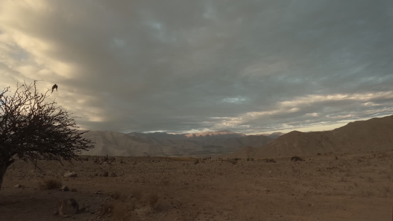 Timelapse of the Sunset over the mountains in Vicuña Elqui Valley Chile South America during a cloudy morning with a tree in the frame and sand in the background and casting shadows over the landscape