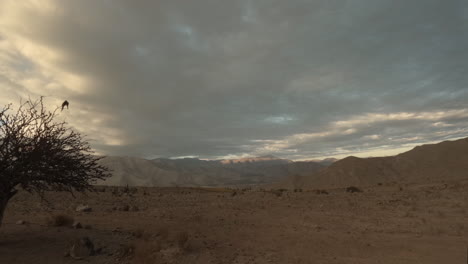 timelapse of the sunset over the mountains in vicuña elqui valley chile south america during a cloudy morning with a tree in the frame and sand in the background and casting shadows over the landscape