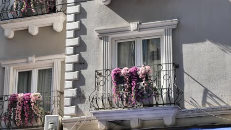 un primer plano de un edificio con un balcón con flores en él