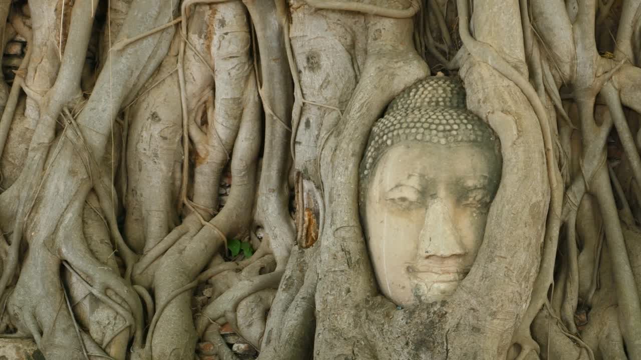 나무에 묻힌 부처님의 머리, 와트 마하, 아유타야