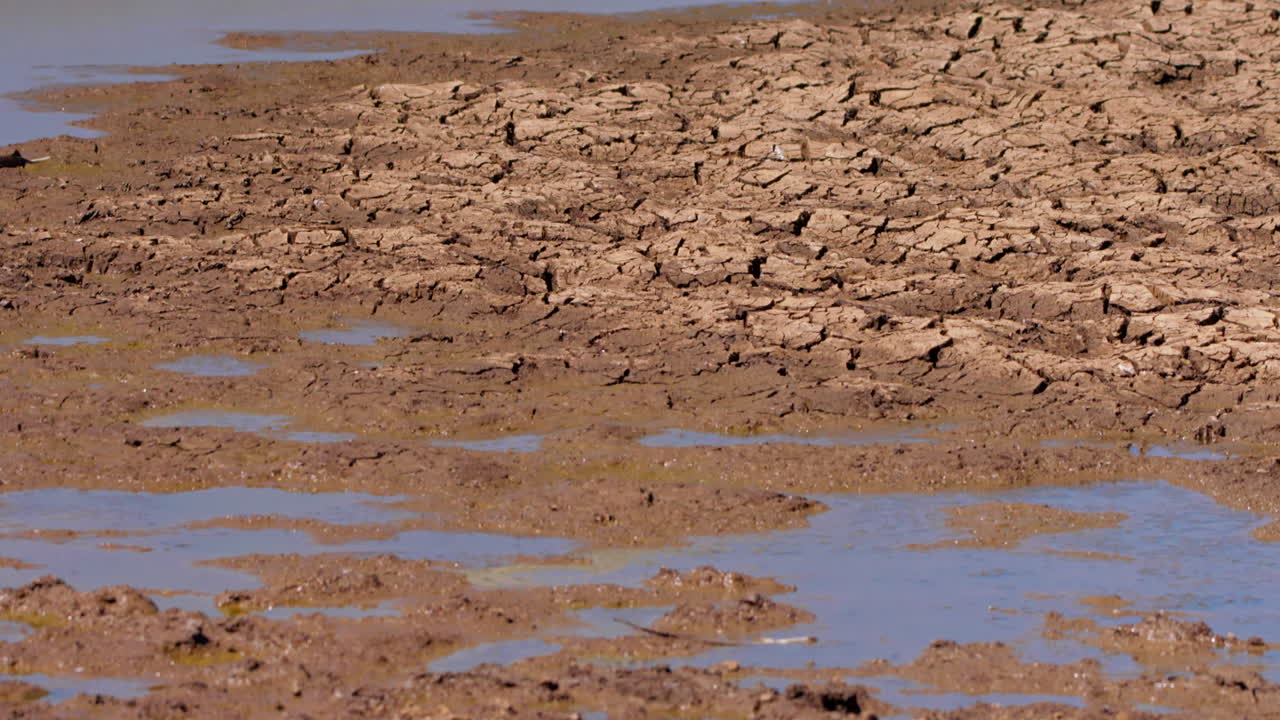Wide tilt down shot of a drying water hole during the afternoon