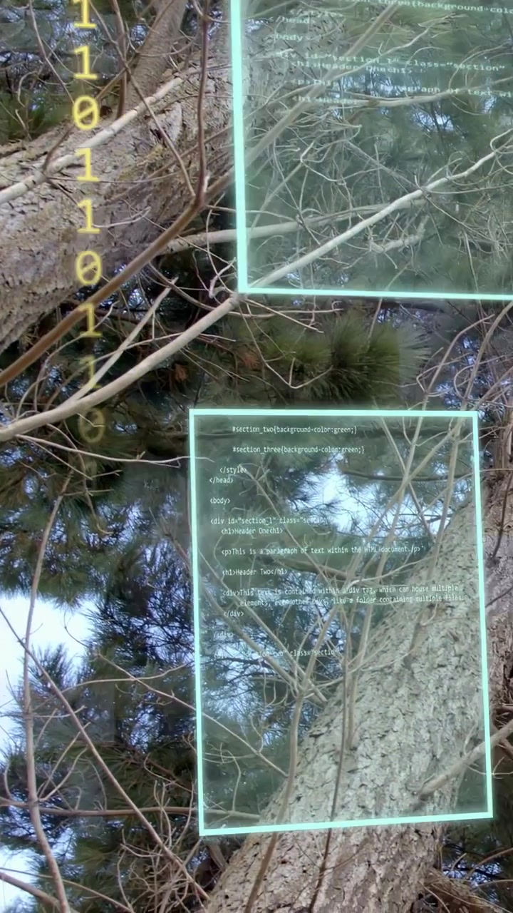 Vertical video: Upward camera tilt causing HUD panels sliding over pine trunk showing code fading