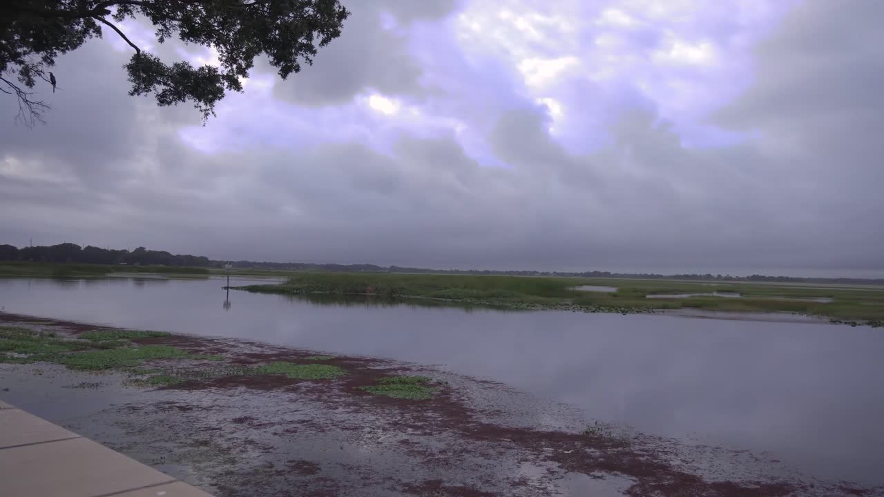 раннее утро на озере тохопекалига в киссимми флорида