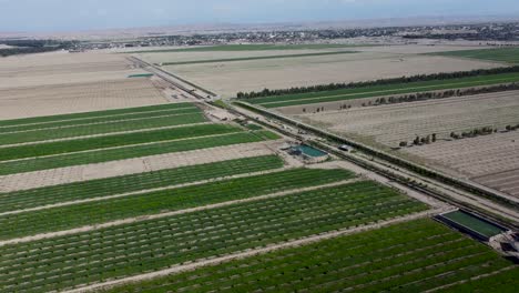 vistas aéreas de tierras de cultivo y sistemas de riego en nangarhar