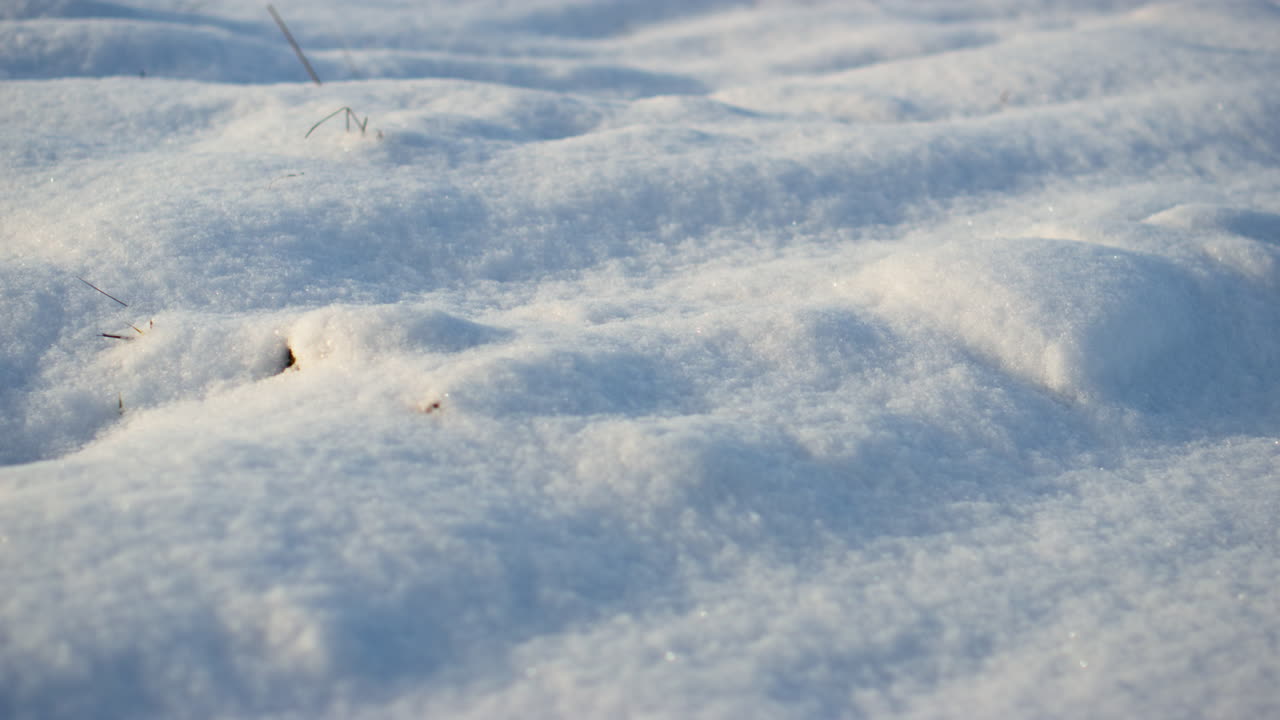 日光の下で地面に白い雪が散在しているクローズアップ。雪に覆われた雪の吹きだまり。