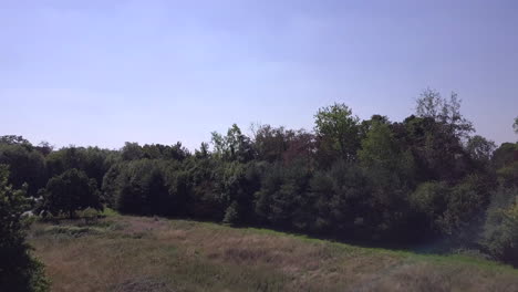 Drone-aerial-view-flying-forward-towards-row-of-trees-in-Trent-Park