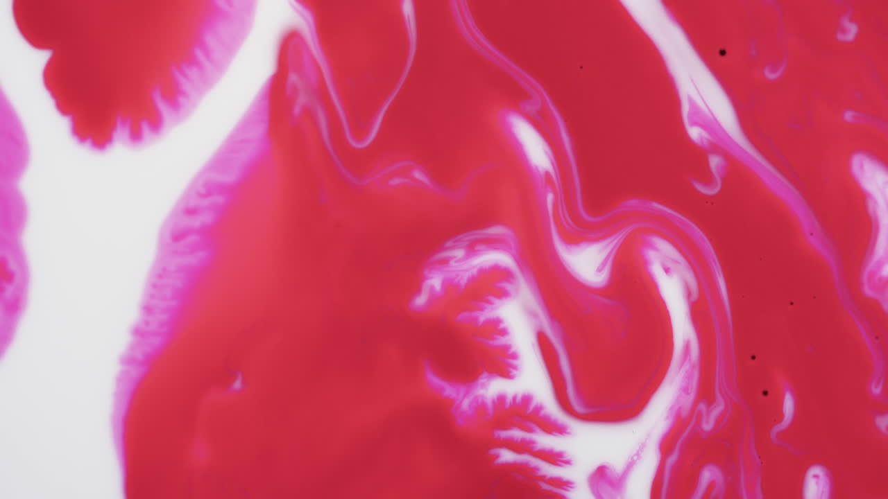video de primer plano de tinta roja y blanca en el agua con espacio para copiar