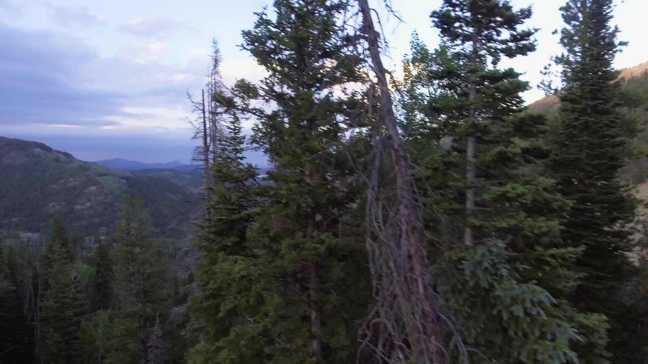 vista aérea sobre la ciudad de nederland en el condado de boulder, colorado paisaje aéreo de las montañas rocosas, el condado de boulder naturaleza y bosques