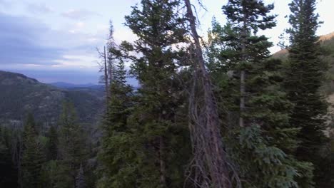 Vista-Aérea-De-La-Ciudad-De-Nederland-En-El-Condado-De-Boulder,-Paisaje-Aéreo-De-Las-Montañas-Rocosas-De-Colorado,-Naturaleza-Y-Bosques-Del-Condado-De-Boulder