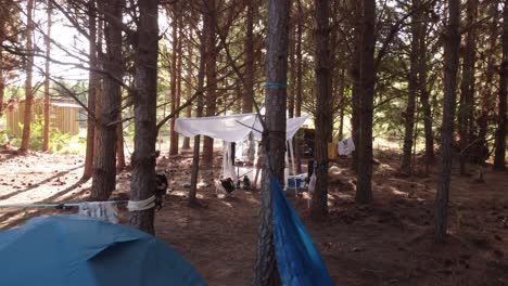 una joven preparando el desayuno en un bosque de pinos salvajes en un campamento rural