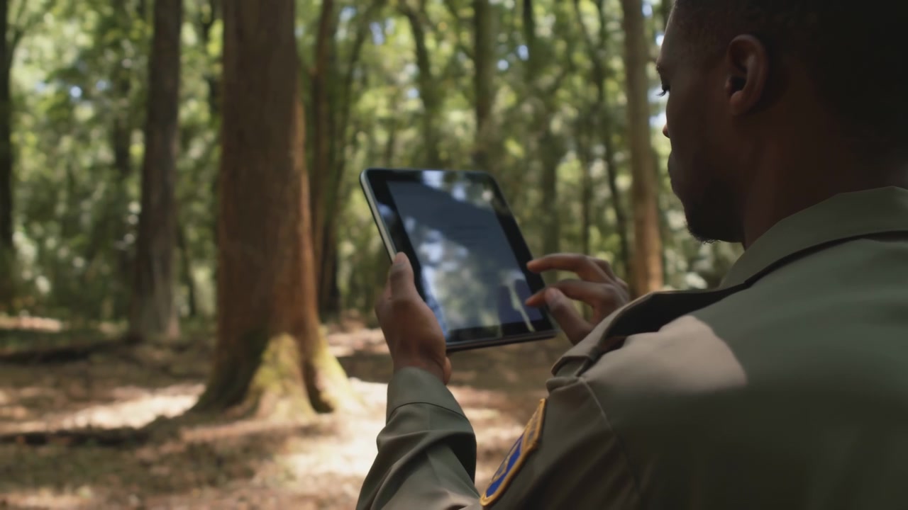 Una vista da sopra la spalla mostra le mani con un tablet portatile mentre le dita si muovono sullo schermo, mentre la calda luce del sole filtra attraverso alberi alti in un tranquillo ambiente boschivo