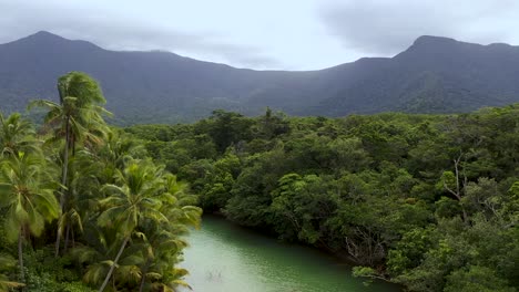 daintree rainforest rising aerial of river, lush forest and mountains, queensland, australia