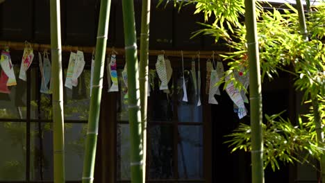 Typical-Japanese-Koinobori-lanterns-softly-waving-in-wind