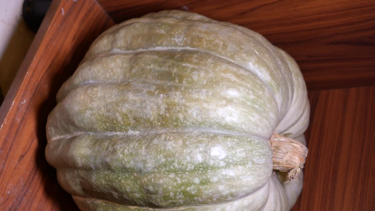 Large pale green pumpkin