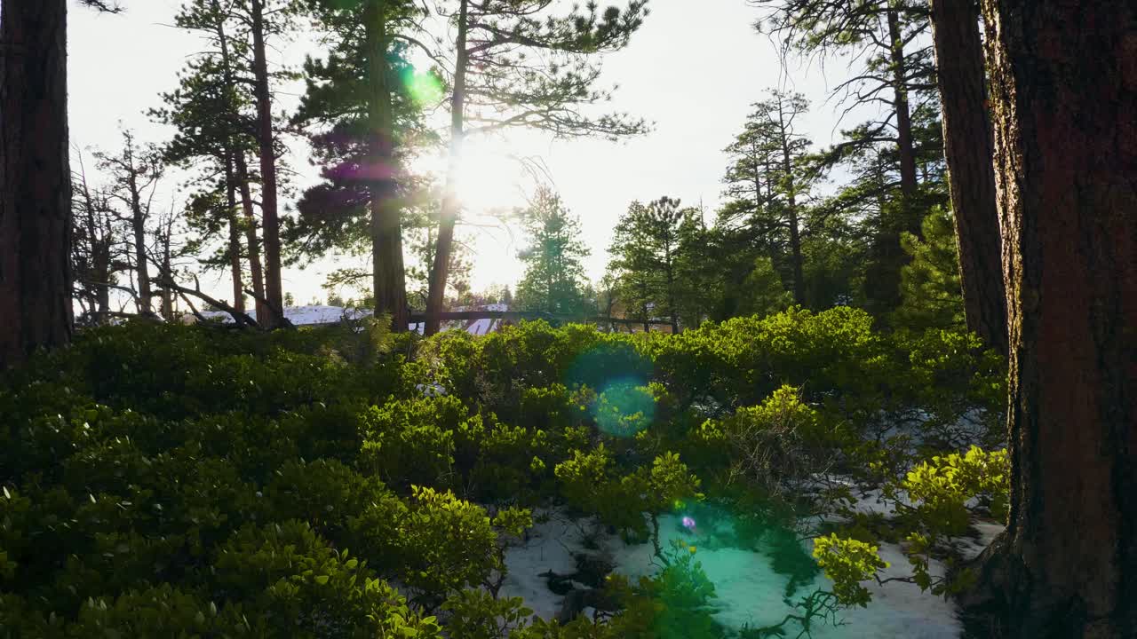 남부 유타 브라이스 캐년 근처 붉은 바위 형성과 눈 하이킹 여자 여자