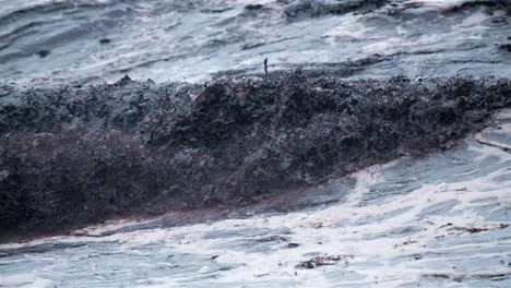agua negra olas fangosas con escombros