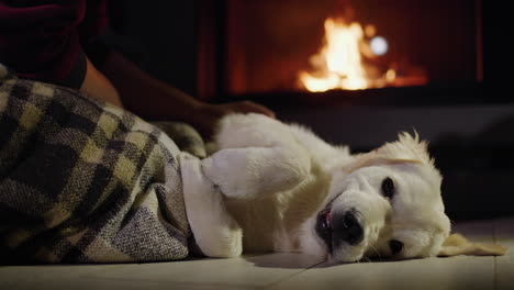 Dueño-De-Una-Mascota-Y-Un-Lindo-Cachorro-De-Golden-Retriever-Descansando-Cerca-De-Una-Chimenea-Encendida