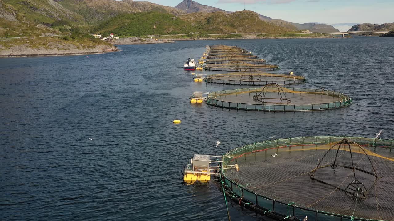 노르웨이에서 연어  ⁇ 시를 하는 공중 촬영