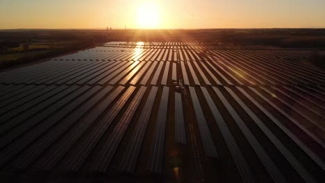 solar farm at dawn