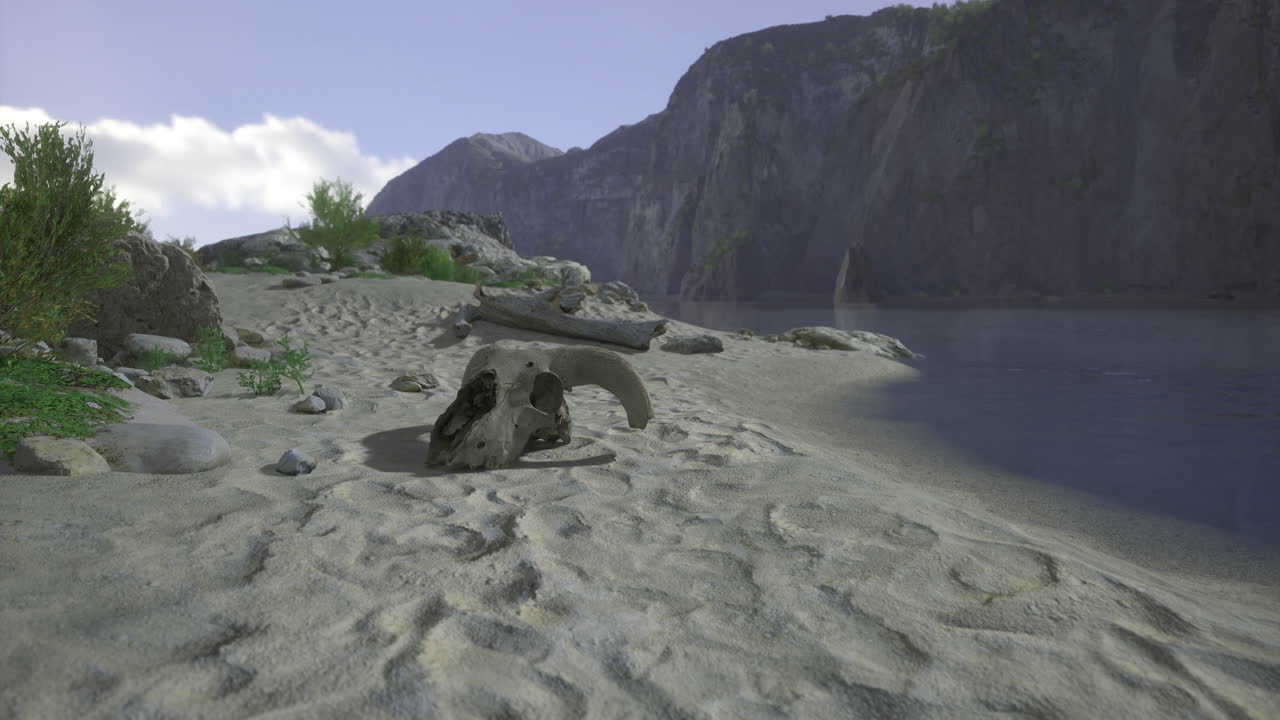 Deserted beach with a skull and rocky cliffs under blue sky