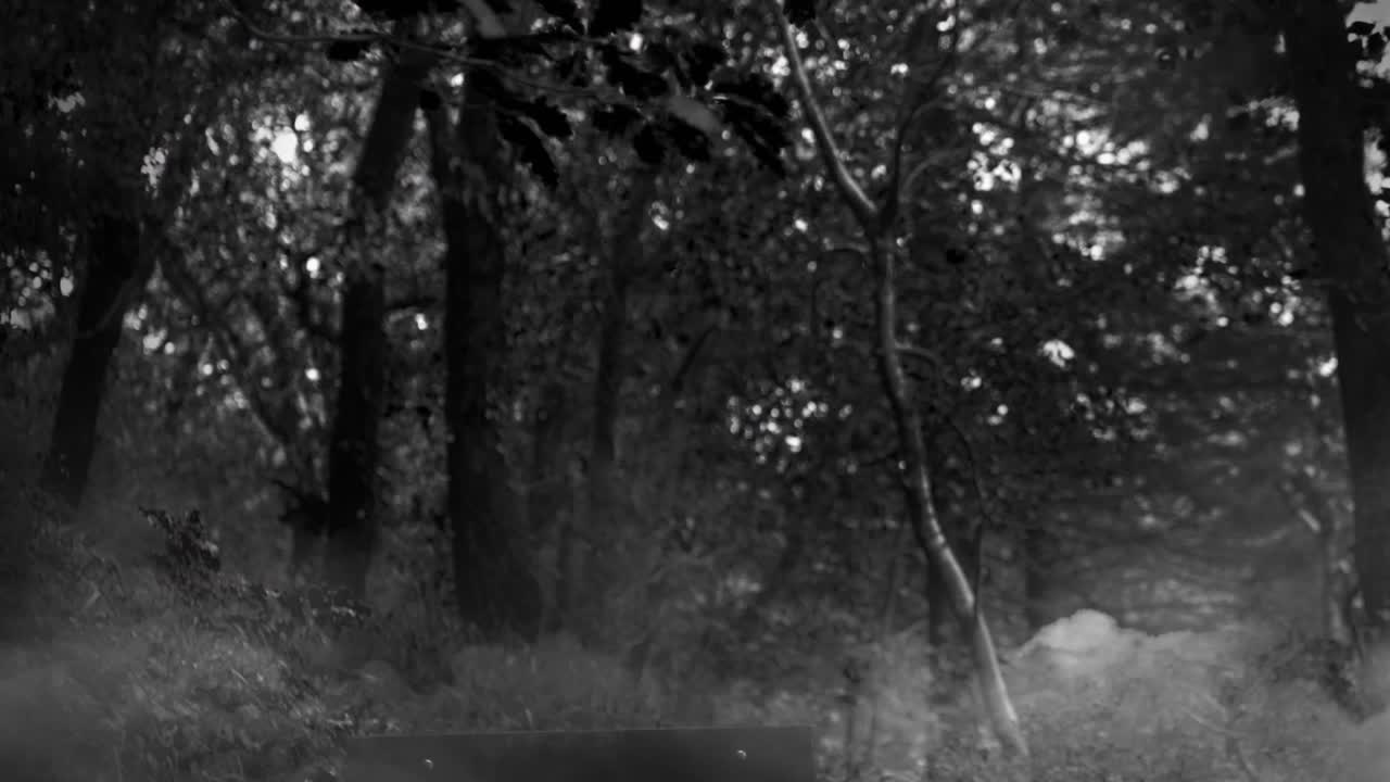 Scattering stars forming glowing frame, drifting sleigh and reindeer crossing for festive magic