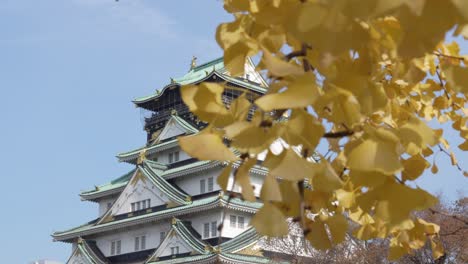 osaka castle revealed behind vibrant yellow fall leaves on a bright day in japan