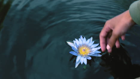 nahaufnahme einer frau, die mit einer blume in einem damm spielt