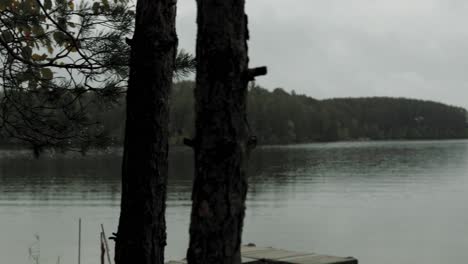 lac viceroy lake from the treed shore line during the late evening