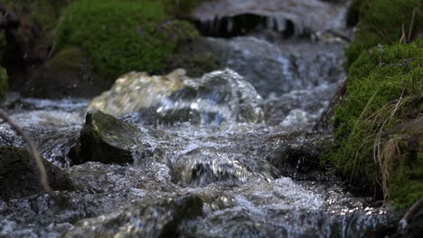 slowmotion closeup video of small fresh creek flowing beautifully