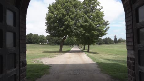 revealing a trail lined by trees