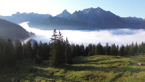 aerial view of cows grazing in an alpine landscape of austria