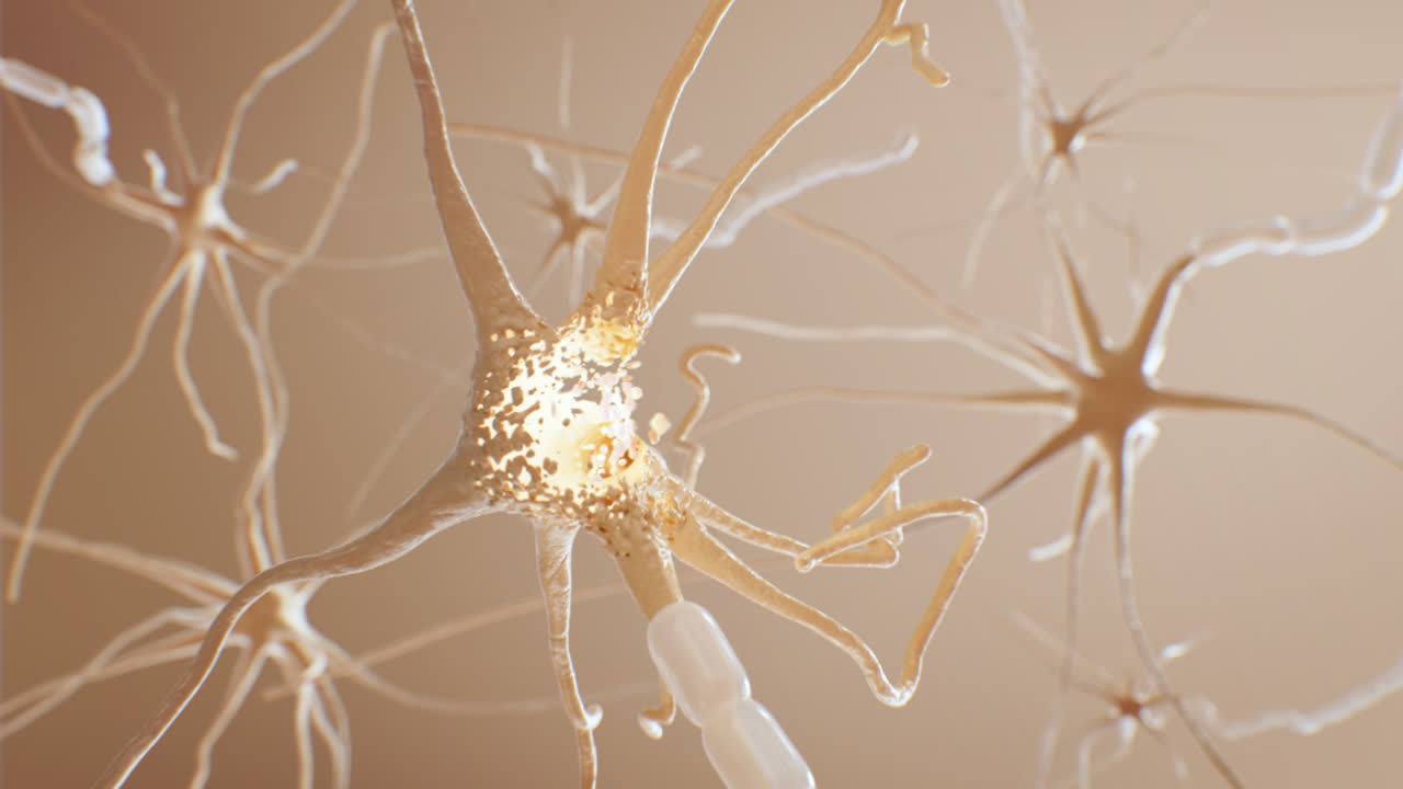 3D Animation of Neuron Degeneration and Damage
