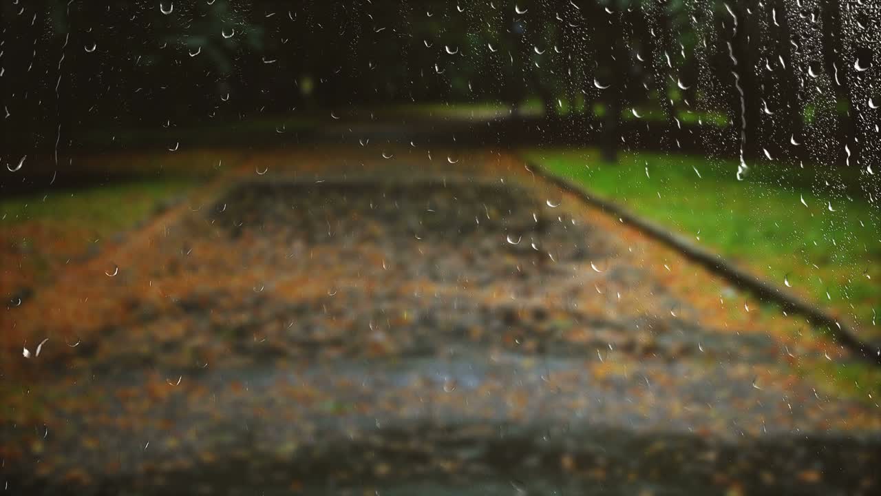 Wet road in the autumn park during the rain. View from the window.