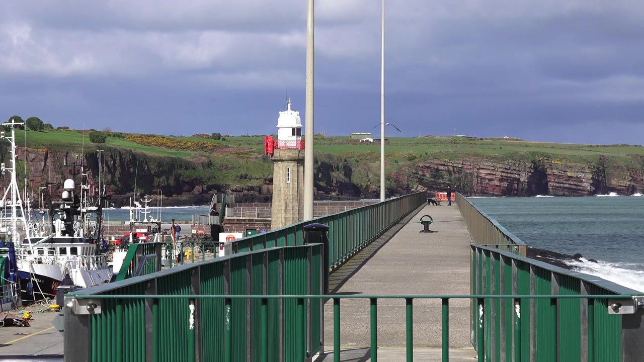 Uomo e il suo cane sulla passerella lungo il muraglione del porto peschereccio di Dunmore East, Waterford, che porta al faro