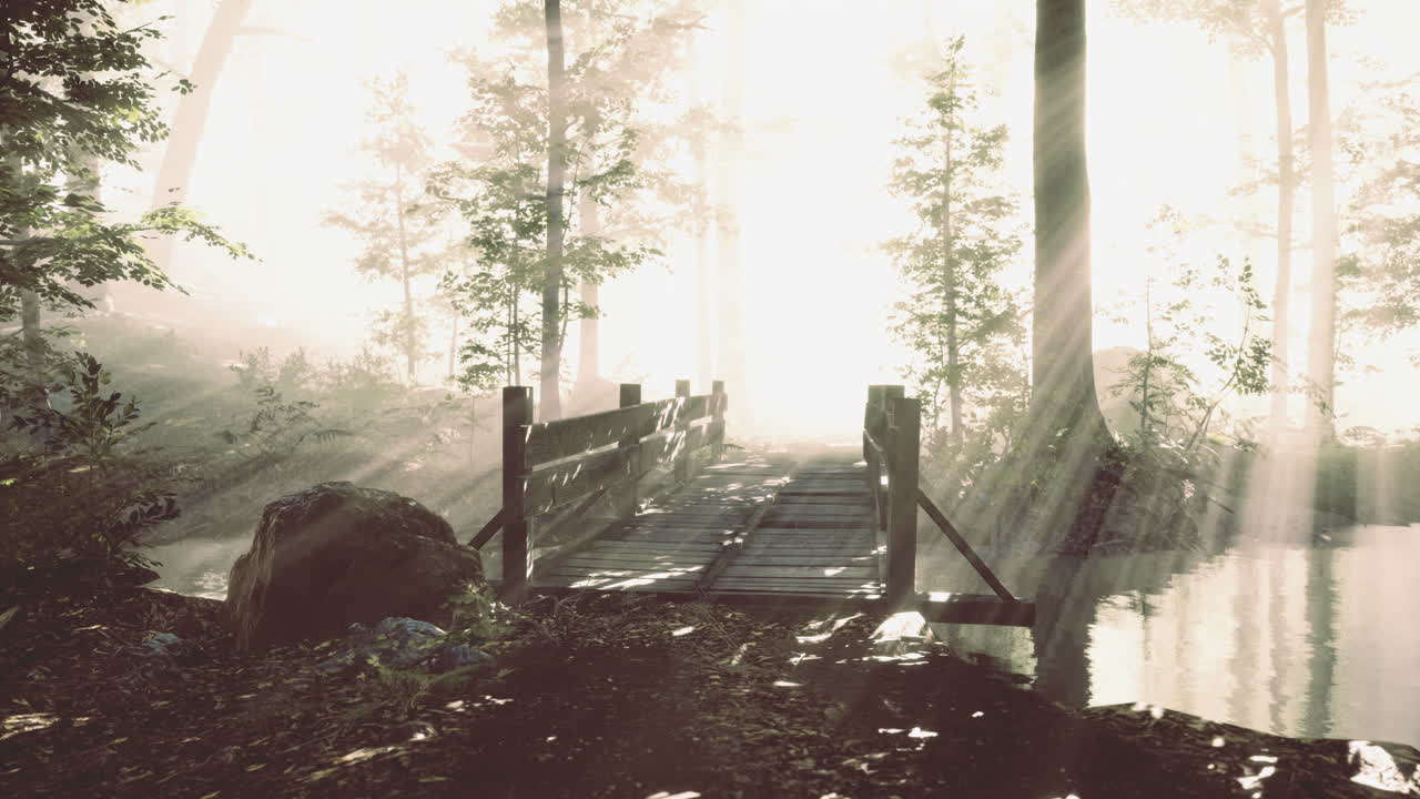 Sunlight breaks through trees illuminating a serene woodland bridge