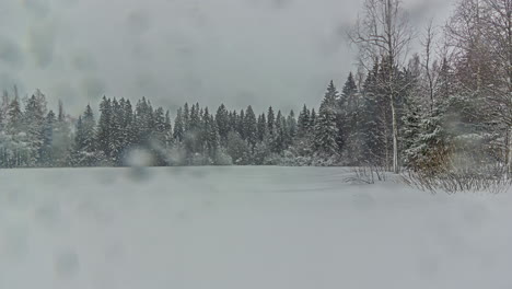 lapso de tiempo de las condiciones invernales ventosas y nevadas con lluvia en bosques remotos