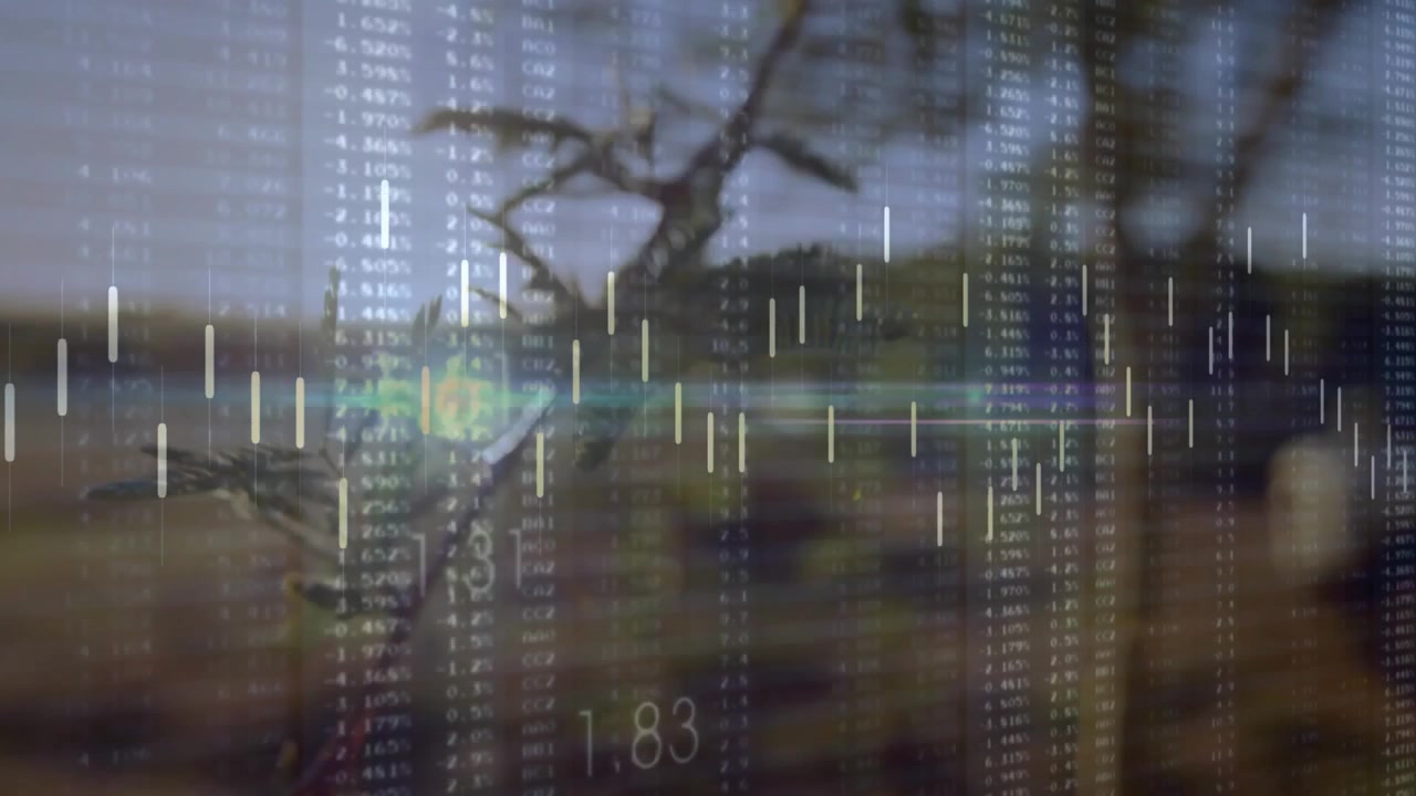 All'avvio, un ramo si eleva mentre le colonne di dati scorrono, le candele lampeggiano mostrando il flusso di dati.