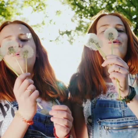 funny redheaded twin girls teenagers play with dandelion flowers blow off seeds