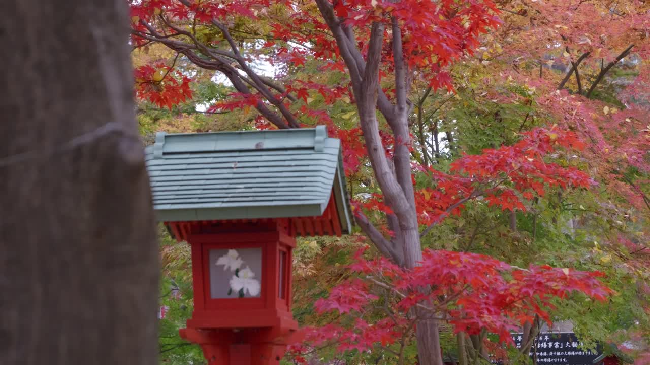 Beautiful slider over red torii gate at Japanese shrine with fall colors