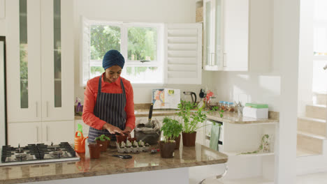 video of biracial woman in hijab planting herbs in kitchen