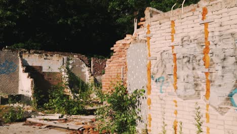 abandoned building in the woods