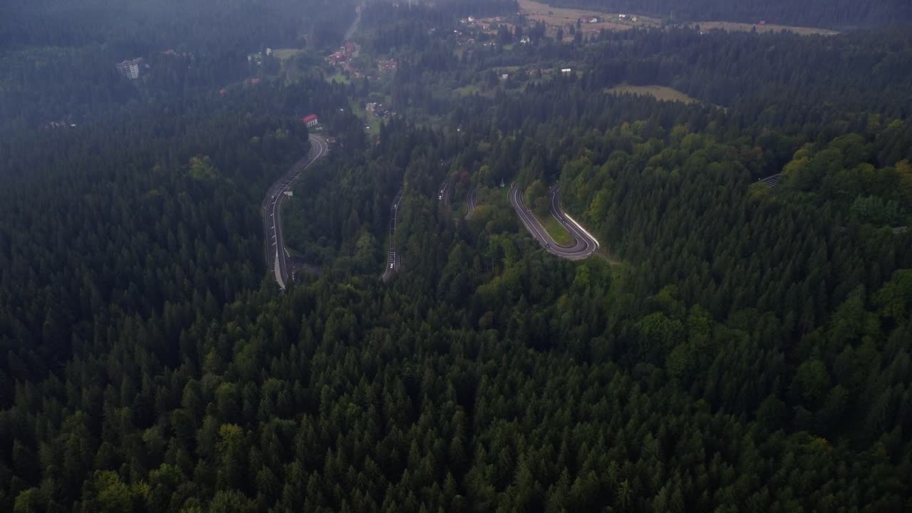 어둡고 비오는 숲의 뒤로 당겨