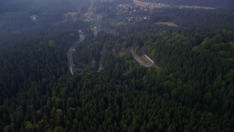 Pull-back-shot-of-dark-and-rainy-forest